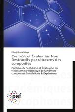 Contrôle et Évaluation Non Destructifs par ultrasons des composites