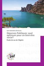 Dépenses Publiques: quel optimum pour un bien-être social?