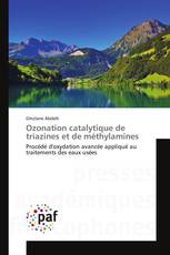 Ozonation catalytique de triazines et de méthylamines