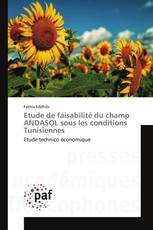 Etude de faisabilité du champ ANDASOL sous les conditions Tunisiennes