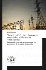 "Smart grids" : Les réseaux et compteurs d'électricité "intelligents"