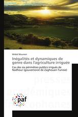 Inégalités et dynamiques de genre dans l'agriculture irriguée