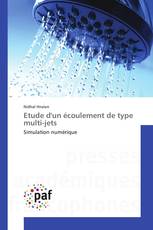 Etude d'un écoulement de type multi-jets