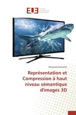 Représentation et Compression à haut niveau sémantique d'images 3D