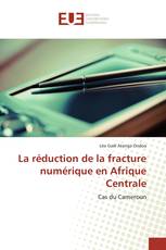 La réduction de la fracture numérique en Afrique Centrale