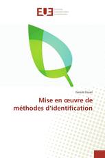 Mise en œuvre de méthodes d’identification