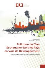 Pollution de l'Eau Souterraine dans les Pays en Voie de Développement