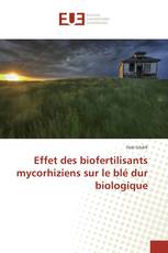 Effet des biofertilisants mycorhiziens sur le blé dur biologique