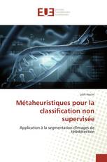 Métaheuristiques pour la classification non supervisée