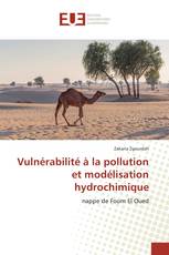 Vulnérabilité à la pollution et modélisation hydrochimique