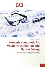 Numerical methods for Volatility Estimation and Option Pricing