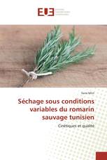 Séchage sous conditions variables du romarin sauvage tunisien