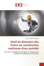 Outil de détection des fuites sur canalisation maîtresse d'eau potable