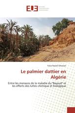 Le palmier dattier en Algérie