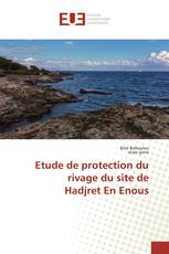 Etude de protection du rivage du site de Hadjret En Enous