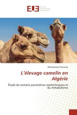 L’élevage camelin en Algérie