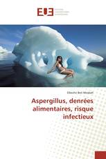 Aspergillus, denrées alimentaires, risque infectieux