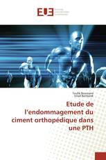 Etude de l’endommagement du ciment orthopédique dans une PTH