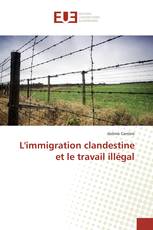 L'immigration clandestine et le travail illégal