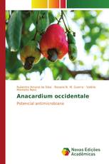 Anacardium occidentale