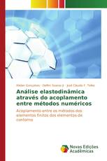 Análise elastodinâmica através do acoplamento entre métodos numéricos