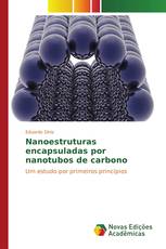 Nanoestruturas encapsuladas por nanotubos de carbono