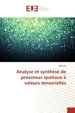 Analyse et synthèse de processus spatiaux à valeurs tensorielles