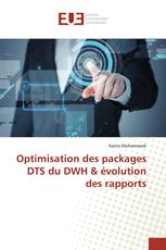Optimisation des packages DTS du DWH & évolution des rapports