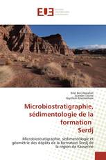 Microbiostratigraphie, sédimentologie de la formation Serdj