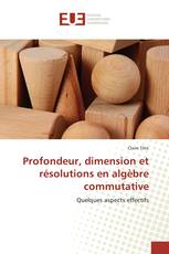 Profondeur, dimension et résolutions en algèbre commutative