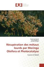 Récupération des métaux lourds par Moringa Oleifera et Photocatalyse