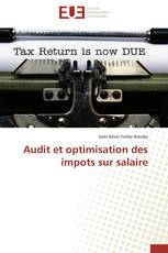 Audit et optimisation des impots sur salaire