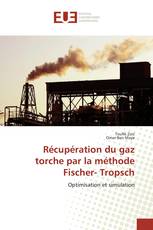 Récupération du gaz torche par la méthode Fischer- Tropsch