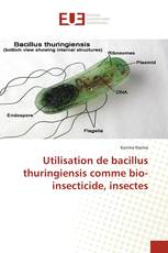 Utilisation de bacillus thuringiensis comme bio-insecticide, insectes