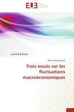 Trois essais sur les fluctuations macroéconomiques