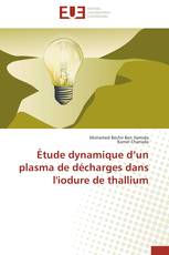 Étude dynamique d’un plasma de décharges dans l'iodure de thallium