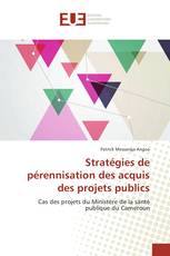 Stratégies de pérennisation des acquis des projets publics