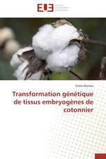 Transformation génétique de tissus embryogènes de cotonnier