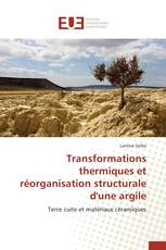 Transformations thermiques et réorganisation structurale d'une argile
