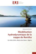 Modélisation hydrodynamique de la nappe de Remtha