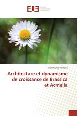 Architecture et dynamisme de croissance de Brassica et Acmella