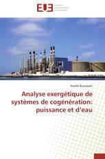 Analyse exergétique de systèmes de cogénération: puissance et d’eau