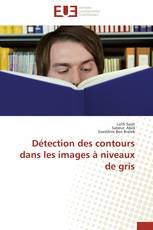 Détection des contours dans les images à niveaux de gris