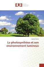 La photosynthèse et son environnement lumineux