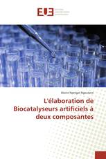 L'élaboration de Biocatalyseurs artificiels à deux composantes