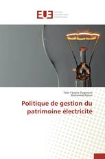 Politique de gestion du patrimoine électricité