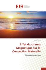 Effet du champ Magnétique sur la Convection Naturelle