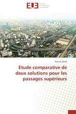 Etude comparative de deux solutions pour les passages supérieurs