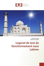 Logiciel de test de fonctionnement sous Labiew