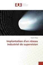 Implantation d'un réseau industriel de supervision